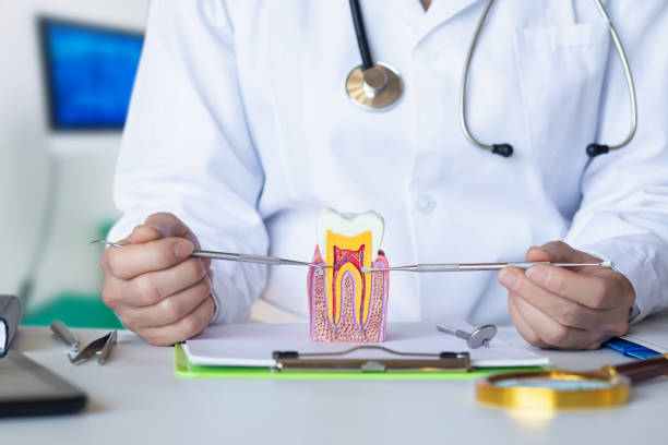 Best Emergency Wisdom Teeth Removal in Winnfield, LA